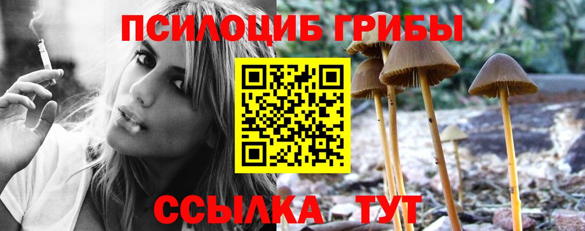 Галлюциногенные грибы Psilocybine cubensis Чебоксары